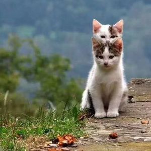 Meet your Posher, Winnie